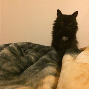 Meet your Posher, Krista